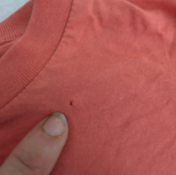 Can I keep it? Little Tornado Catches A Cow and asks the question to Big Tornado - Picture 6 of 10